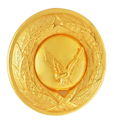 Chile_Army_Badge_01-removebg-preview